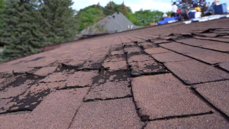 Cold Roofs in Holland, TX